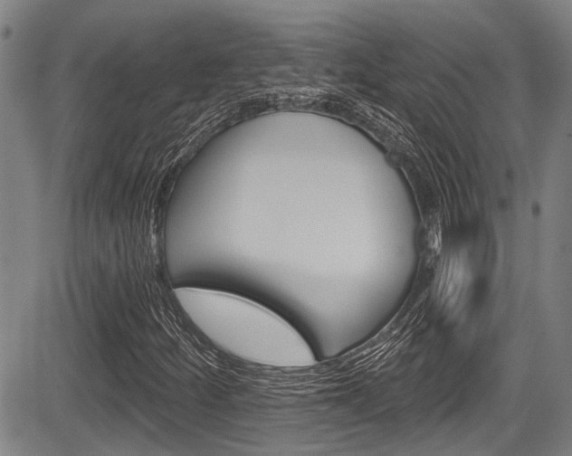 X0000084051252200702160916