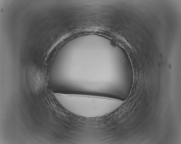 X0000084051256200702160916