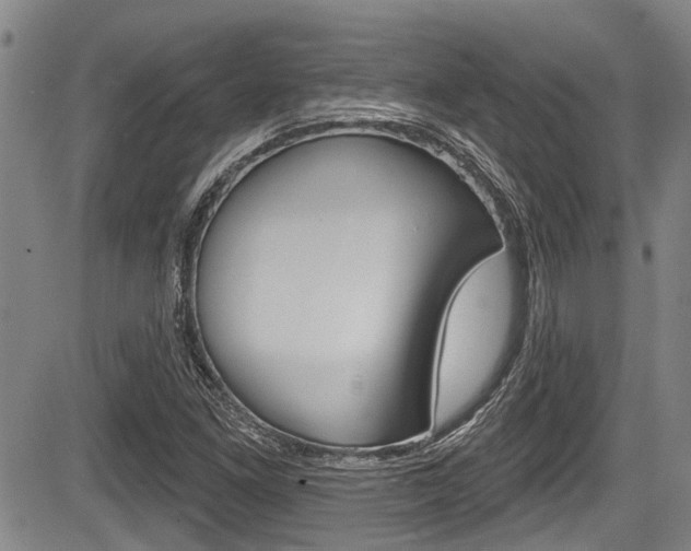 X0000084051261200702160916