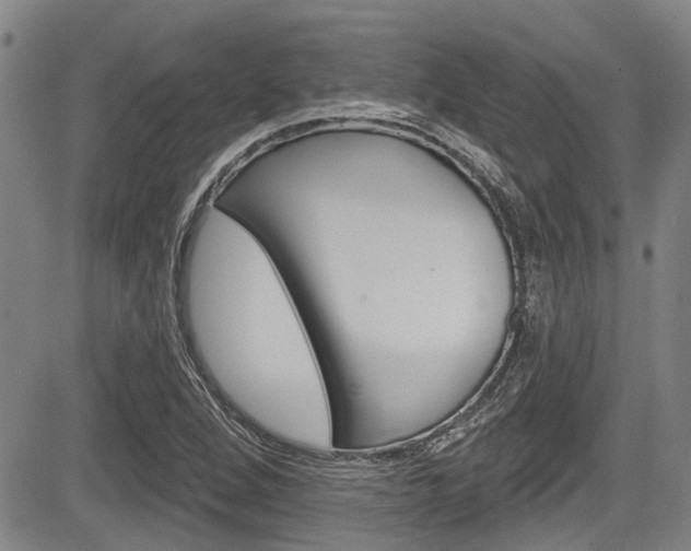 X0000084051264200702160916