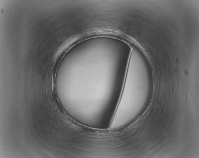 X0000084051269200702160916