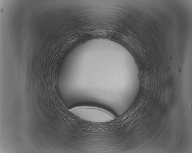 X0000084051297200702160914