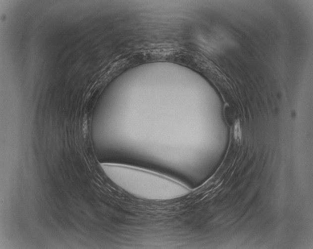 X0000084051299200702160914