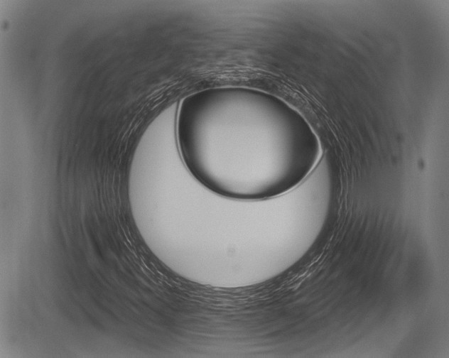 X0000084051300200702160914