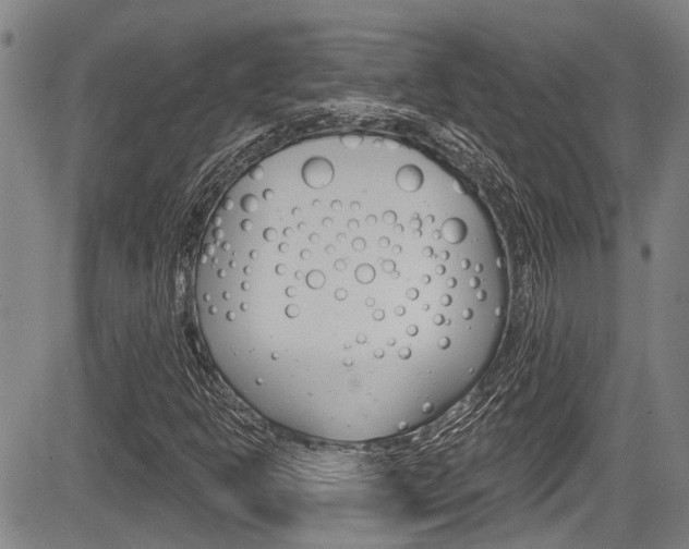 X0000084051302200702160914