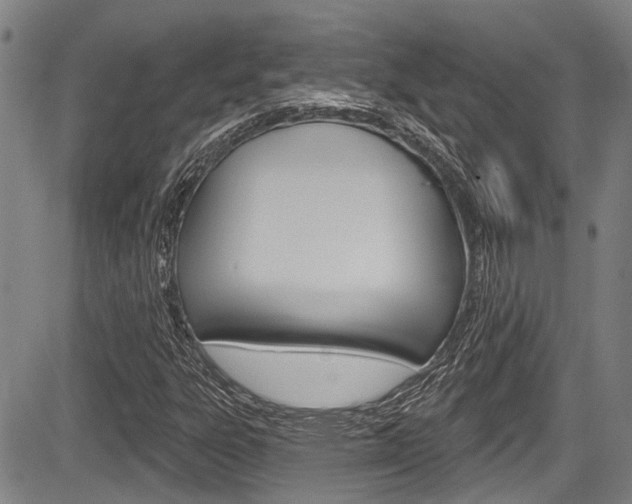 X0000084051303200702160914
