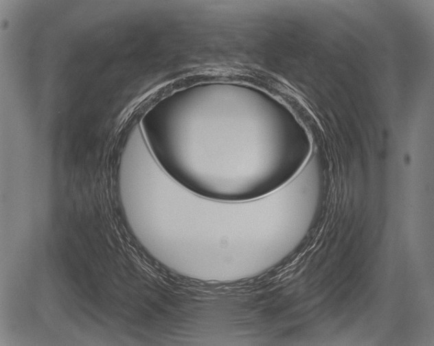 X0000084051304200702160914