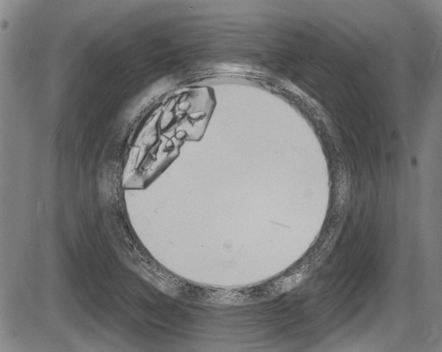 X0000084051314200702160915