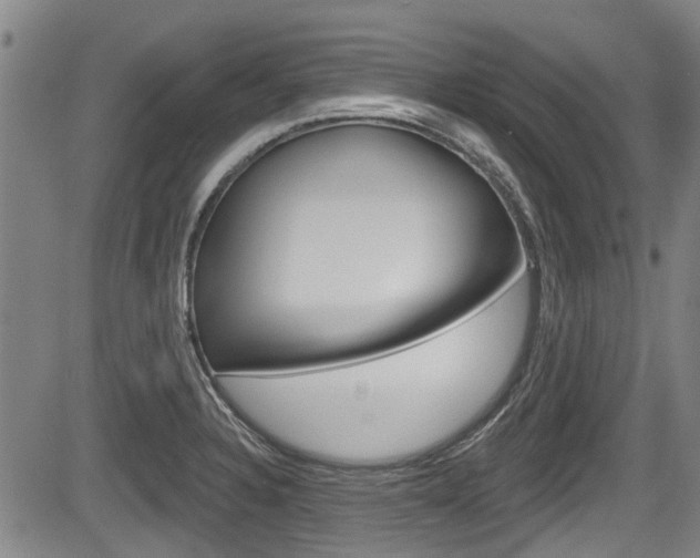X0000084051328200702160915