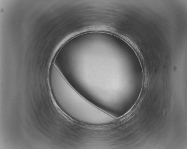X0000084051342200702160915