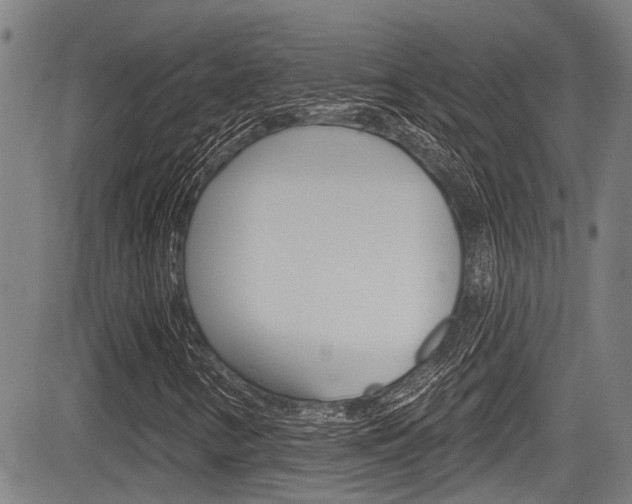 X0000084051346200702160914