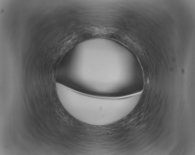 X0000084051348200702160914