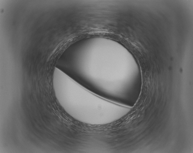 X0000084051351200702160914