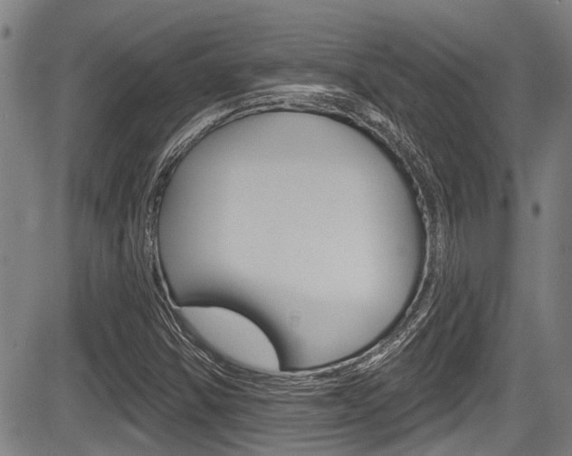 X0000084051354200702160914