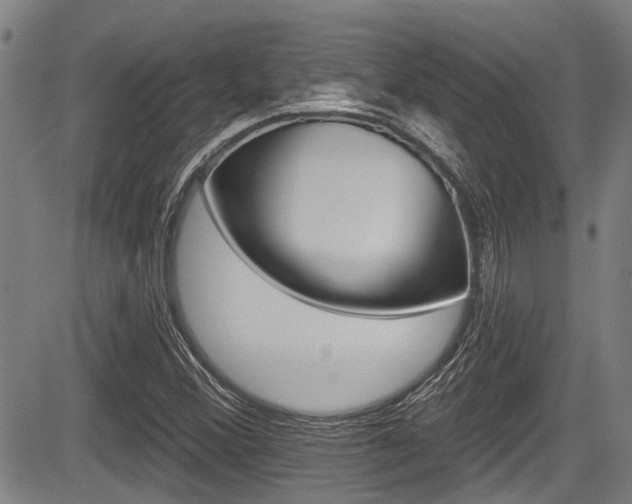 X0000084051356200702160914