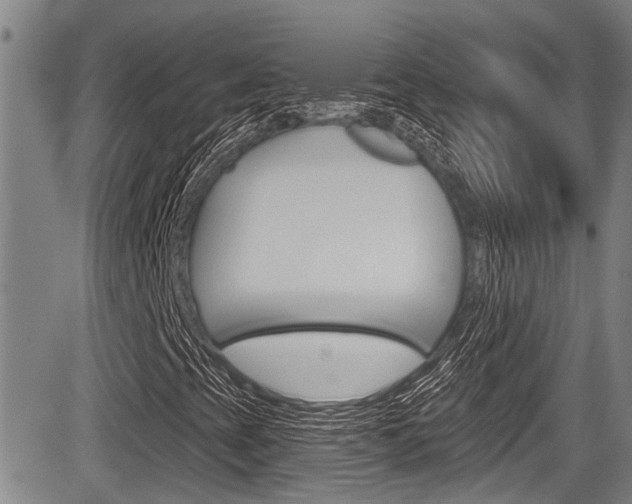 X0000084051393200702160913