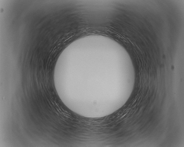 X0000084051394200702160913