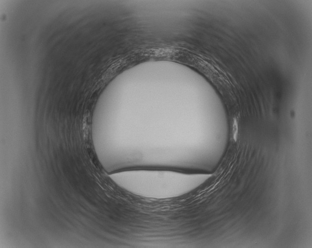 X0000084051395200702160913