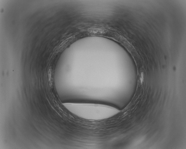 X0000084051396200702160913