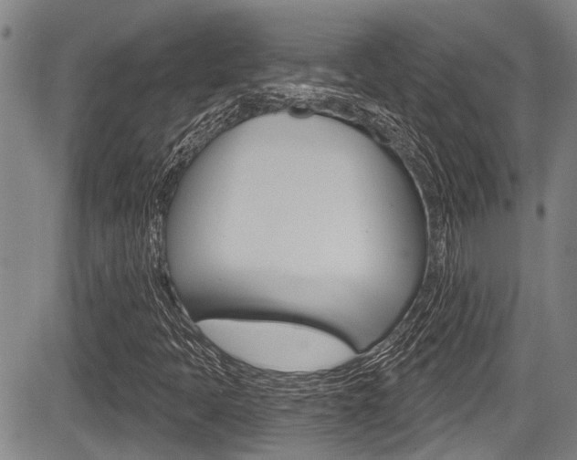 X0000084051397200702160913