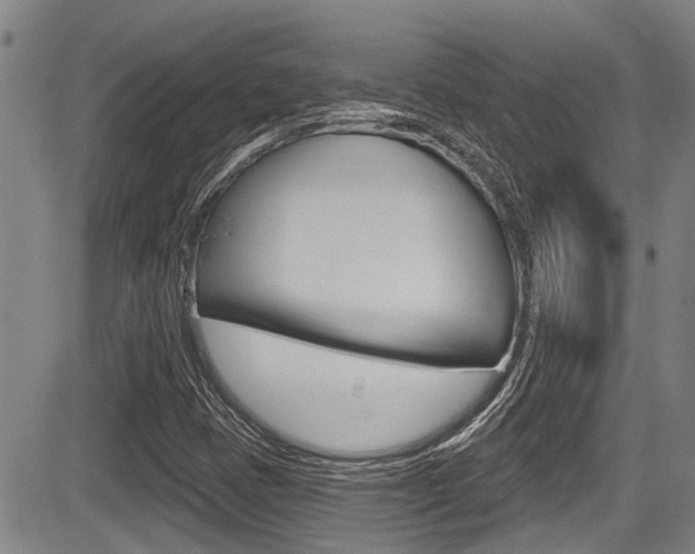 X0000084051401200702160913