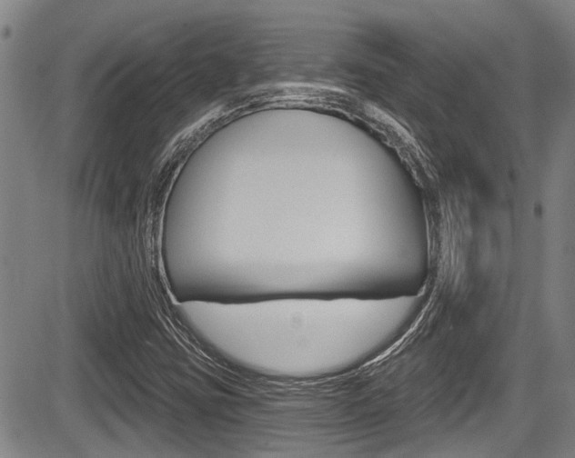 X0000084051403200702160913