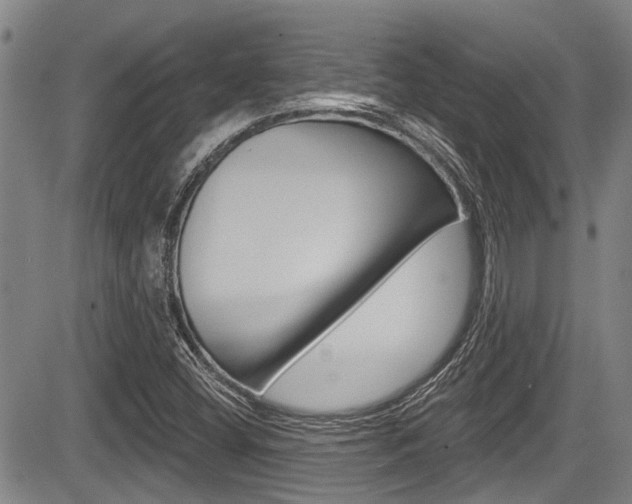 X0000084051404200702160913