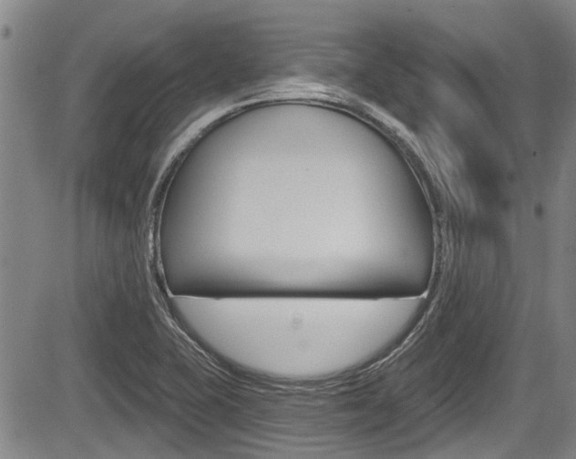 X0000084051415200702160913