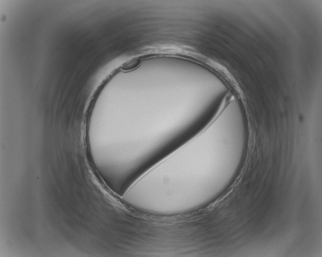 X0000084051424200702160913