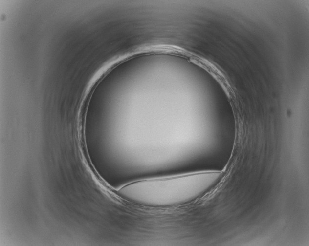 X0000084051430200702160913