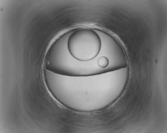 X0000084051432200702160913