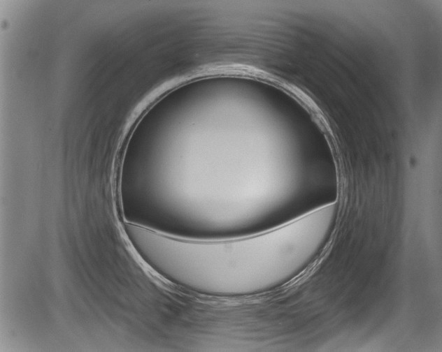 X0000084051438200702160914