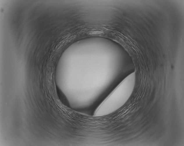 X0000084051441200702160913