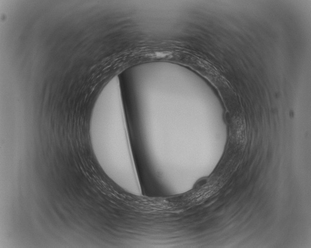 X0000084051442200702160913