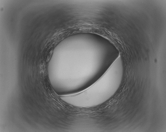 X0000084051445200702160913
