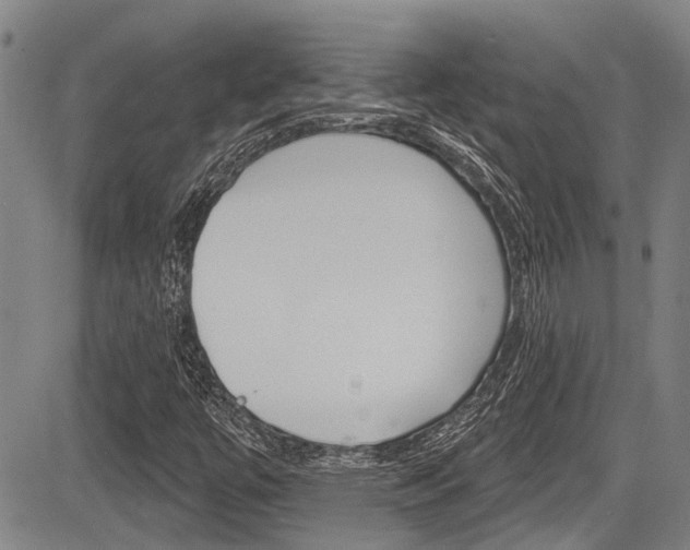 X0000084051447200702160913