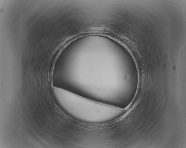 X0000084051449200702160913