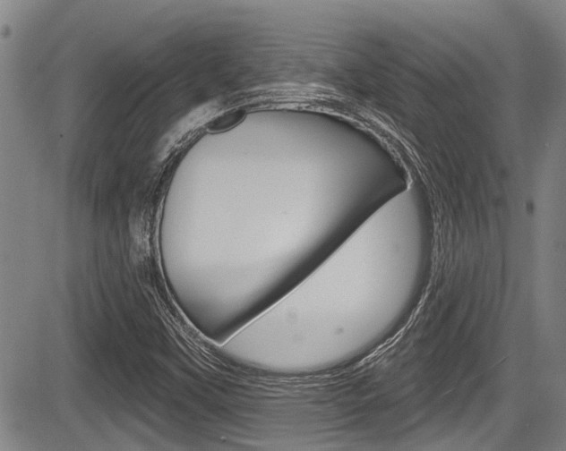 X0000084051451200702160913