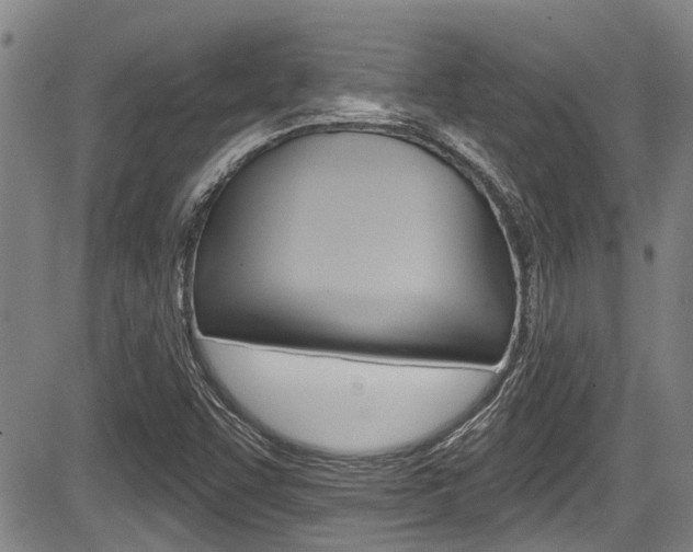 X0000084051455200702160913