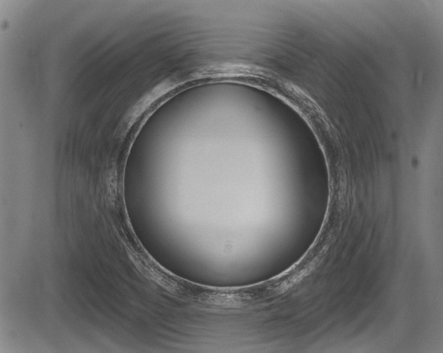 X0000084051457200702160912
