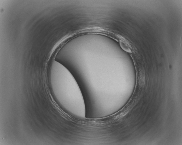 X0000084051458200702160912