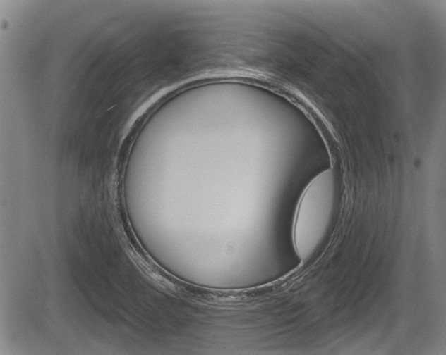 X0000084051460200702160912
