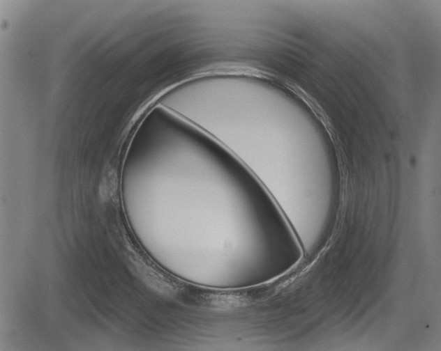 X0000084051465200702160912