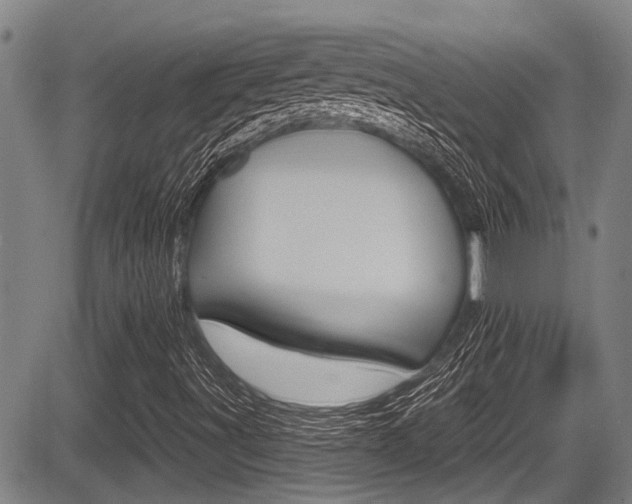 X0000084051491200702160911