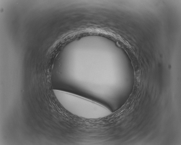 X0000084051495200702160911
