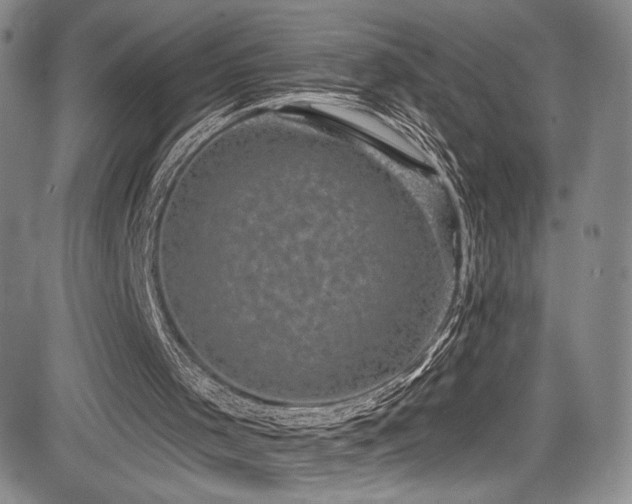 X0000084050001200702161518