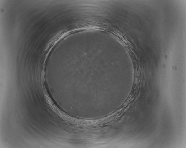 X0000084050002200702161518