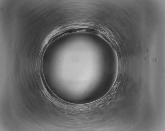 X0000084050003200702161518