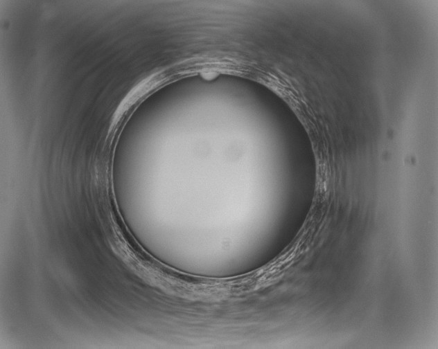 X0000084050004200702161518