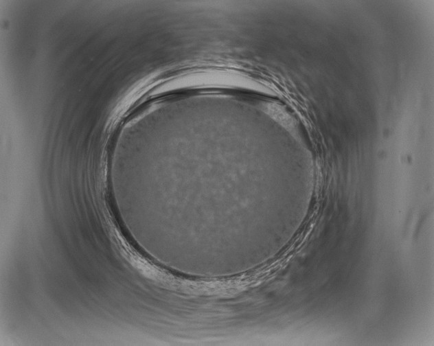 X0000084050005200702161518